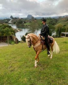 Las vacaciones de Maluma fueron furor en las redes